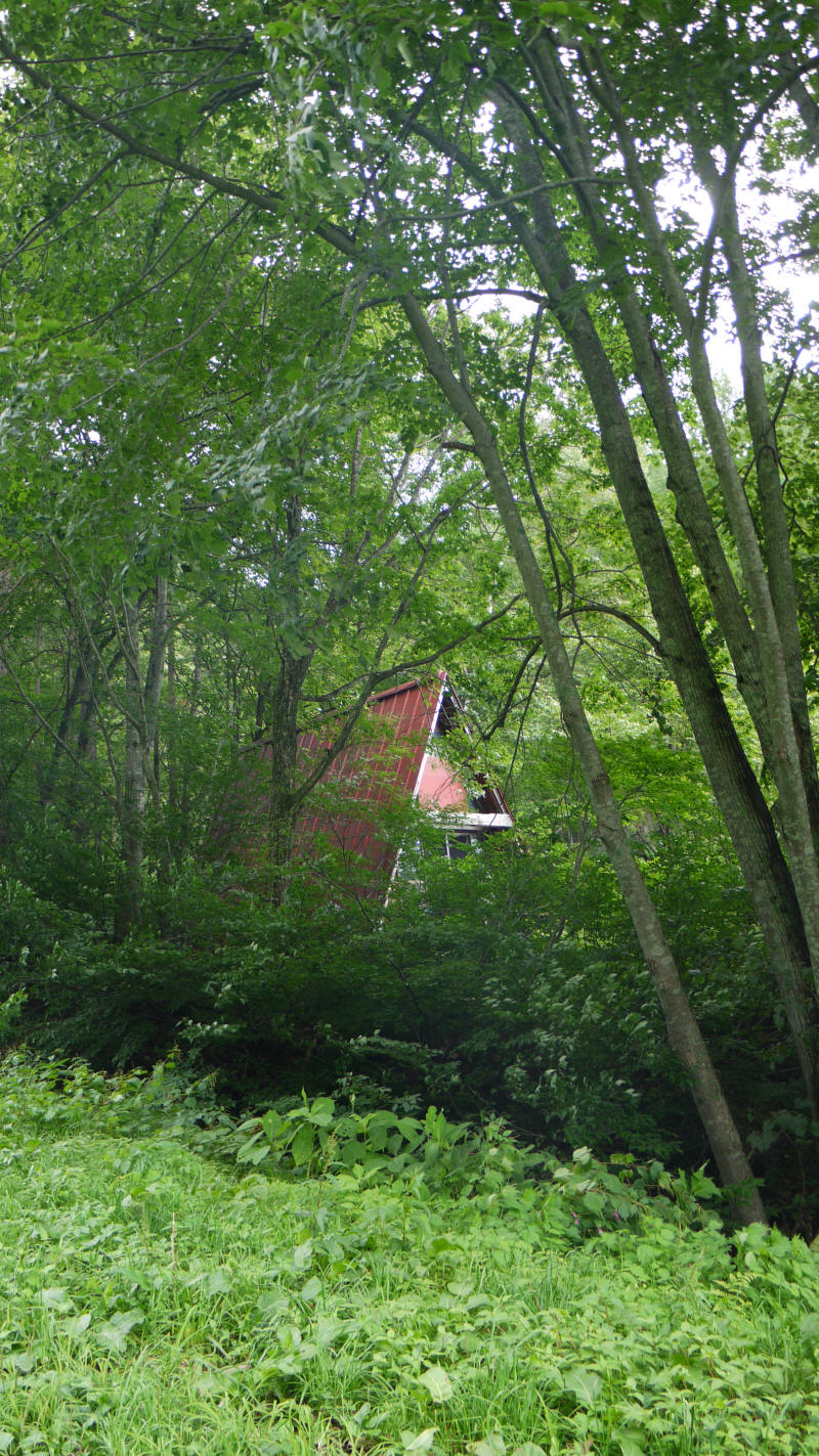 P1050813.JPG (4529309 oCg)