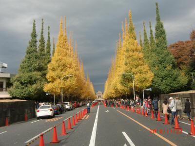 CIMG0267.JPG (6223763 oCg)