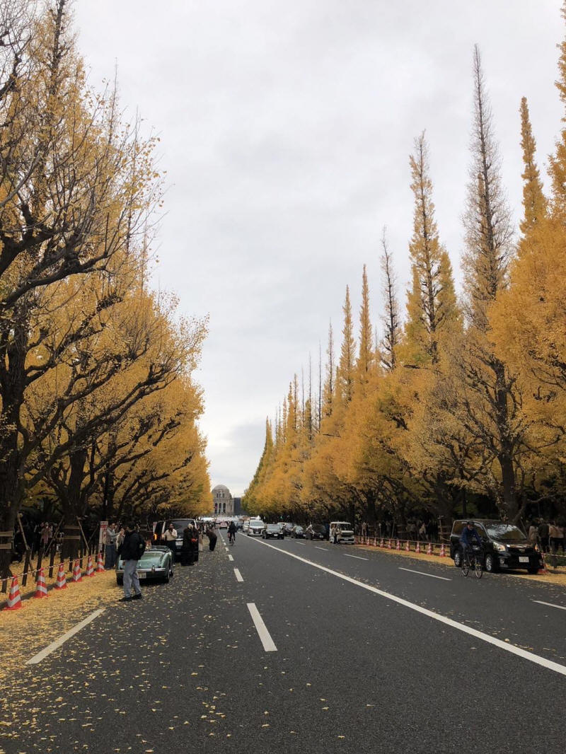 1763951634999.jpg (289556 �o�C�g)